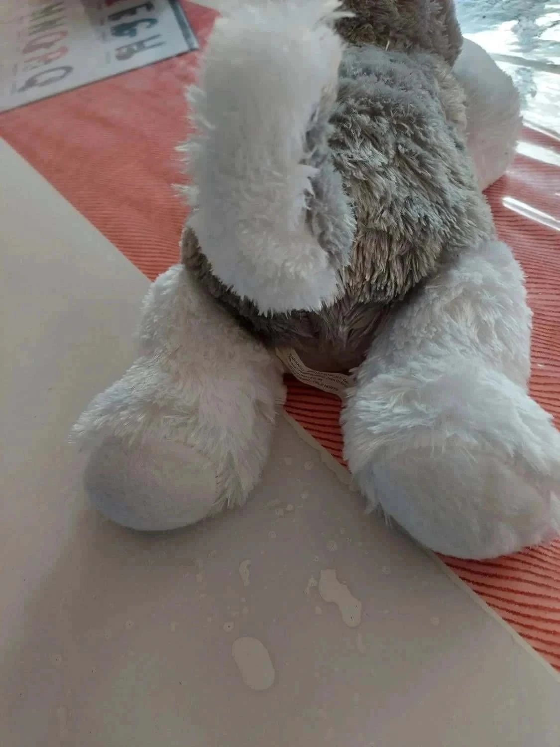 Peluche doudou husky – photo 4